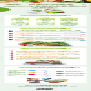 【图解】保障“舌尖上的安全”！河北2019年食品安全监督工作这样做！