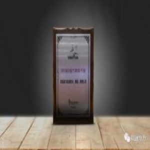 软通动力出席2018中国IT生态大会再获“方案商百强”殊荣