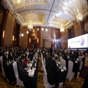 2018四川省高端显示产业链对接会隆重召开