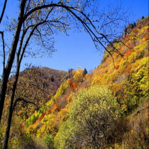 美爆朋友圈！河北这三地入