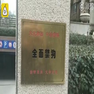 【长城微评】“答应不养狗才能买房”，可取吗？