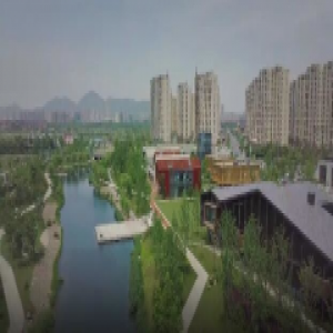 浙江：搭建产业平台 文创产业“量质齐飞”