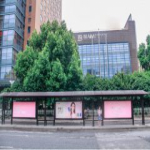 土豪告白赵丽颖，包公交站台一百种语言霸气示爱