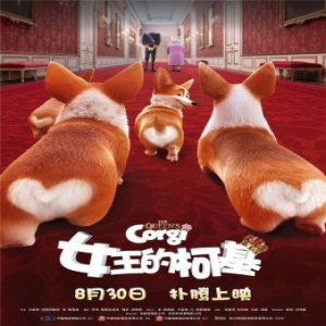 《女王的柯基》定档8月30日