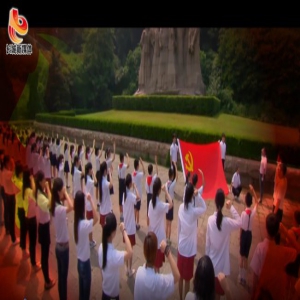 【视频】不忘初心 牢记使命——燕赵儿女奋斗歌