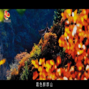 【航拍视频】太行四季歌——天桂山