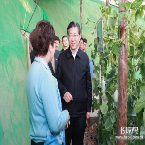 王东峰在衡水市调研检查：始终坚持生态优先绿色发展 扎实推进县域经济提质增效