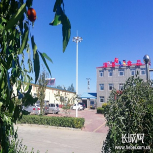 河北省政府新闻办“2019年上半年河北省外贸进出口情况”新闻发布会视频实录