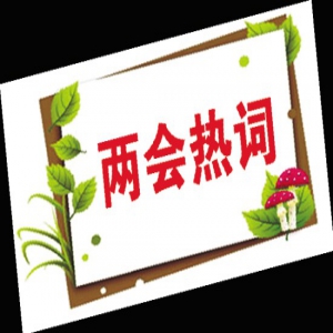 【两会评论】从“两会热词”的更换看民生期待变迁