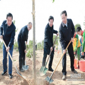 王东峰等领导在石家庄市正定县参加义务植树活动