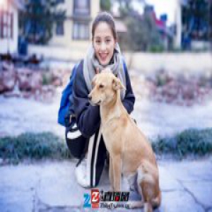 《春天里》埋伏笔 王力可情陷三角虐恋进退两难