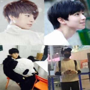 陈奕天王俊凯爱心满满为熊猫守护想变熊猫