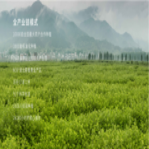 养生蕲春从艾出发 七星蕲艾推动蕲艾全产业链发展