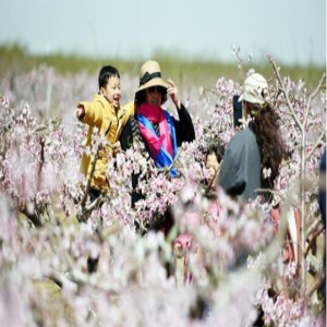 2月山东重污染天气同比增加 专家解释原因有这几条