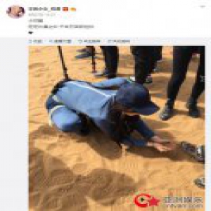 程潇胆量惊人，满沙漠找蜥蜴乐在其中