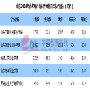 2018年最受山东考生喜欢的省内高职院校有哪些