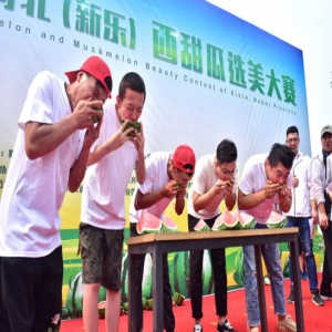 石家庄：“西甜瓜选美大赛”举行 市民参加趣味吃西瓜比赛