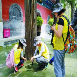 大学生当起＂树木医生＂ ＂体检＂树中2509棵得＂差评＂