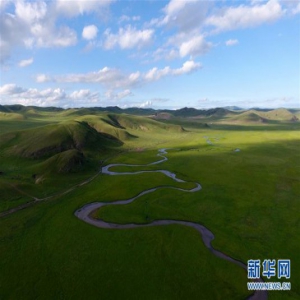 盛夏草原美如画