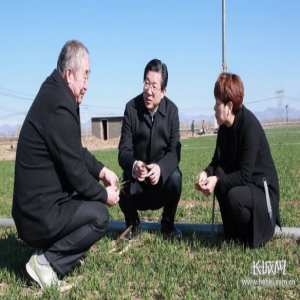 解决好“谁来种地”问题 确保乡村振兴战略深入实施省委书记点赞“80后”种田能手，要