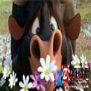 李晨出任《公牛历险记》首席“逗牛士”