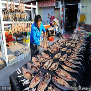 山东青岛:金秋时节 鱼干晾晒正当时