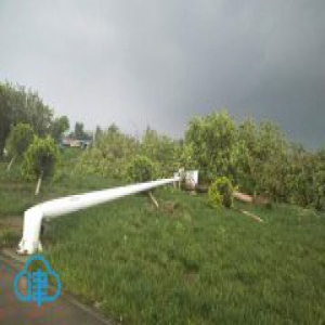 天津静海出现龙卷风 多处民房受损 一人受轻伤