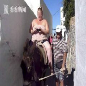 驴被胖游客压脱皮！希腊小岛胖游客越来越多 毛驴脊柱受损