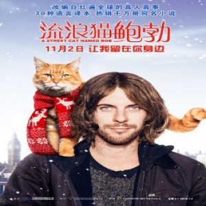 《流浪猫鲍勃》定档11月2日 萌宠互动暖化人心