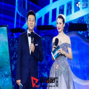 新锐主持人Tina亮眼主持海南岛国际电影节开幕式