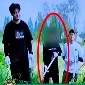 湖南卫视《向往的生活》复播 李维嘉镜头被打码声音被处理引发争