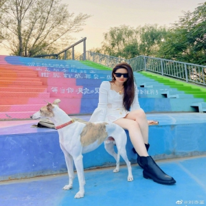 期待原声大片！刘亦菲将给《去有风的地方》配音