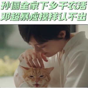 孙俪全家打扮低调下乡干农活 邓超暴瘦模样认不出